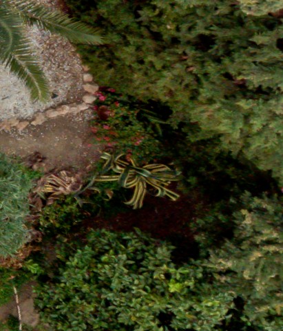 Benalmadena t 2d 04 06