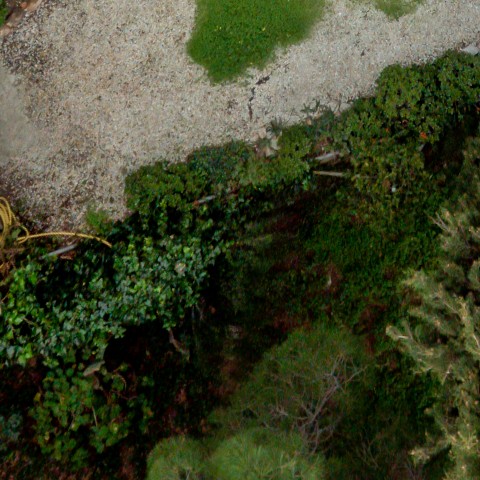 Benalmadena t 2d 05 03