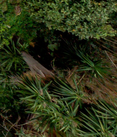 Benalmadena t 2d 05 06