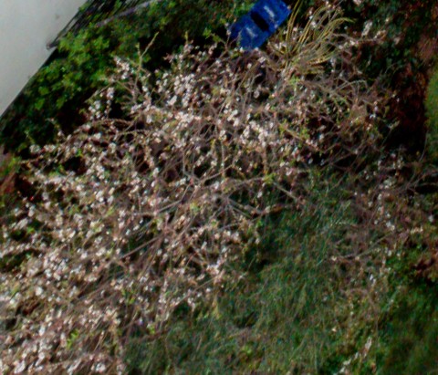 Benalmadena t 2d 06 02