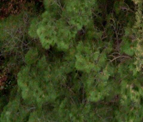 Benalmadena t 2d 06 03