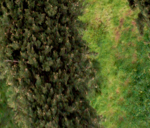 Benalmadena t 2d 06 04