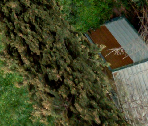 Benalmadena t 2d 06 05