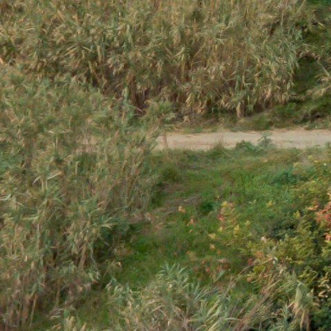 Benalmadena t 2f 04 01