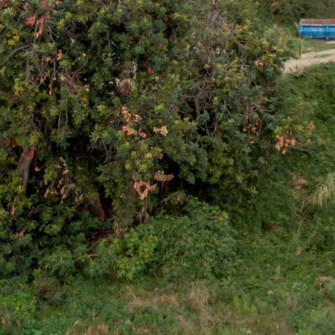 Benalmadena t 2f 04 03