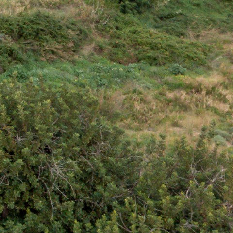 Benalmadena t 2f 04 05