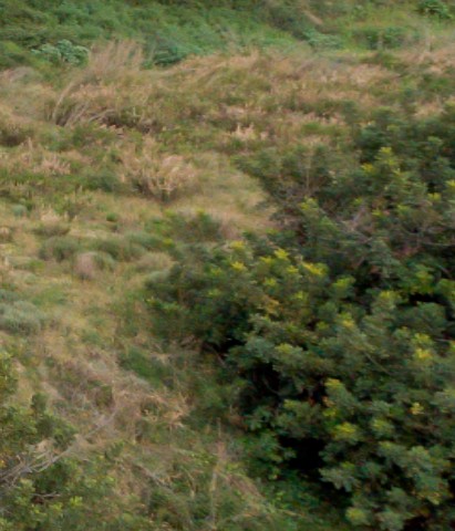 Benalmadena t 2f 04 06