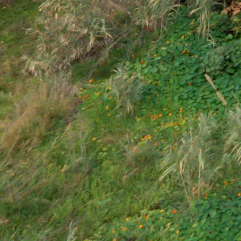 Benalmadena t 2f 05 01