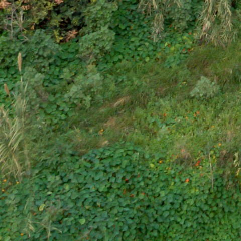 Benalmadena t 2f 05 02