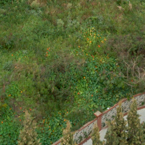 Benalmadena t 2f 05 03