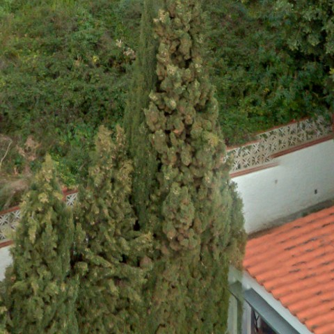 Benalmadena t 2f 05 04