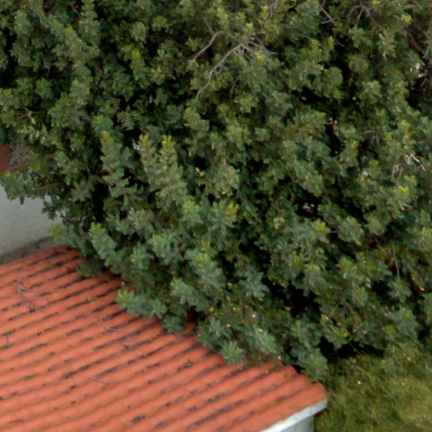 Benalmadena t 2f 05 05