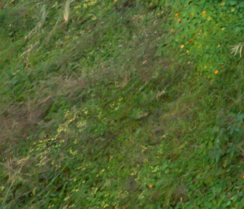 Benalmadena t 2f 06 01