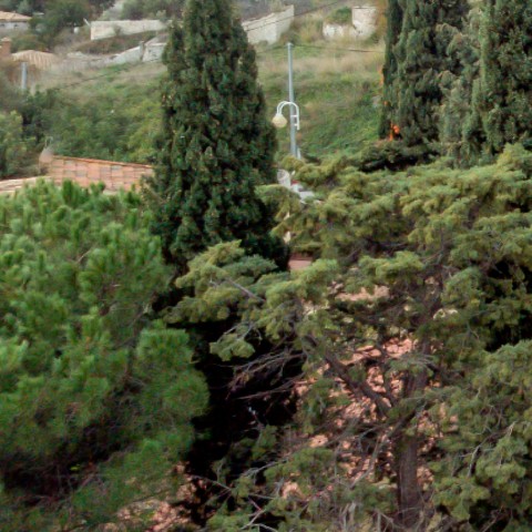 Benalmadena t 2l 04 02