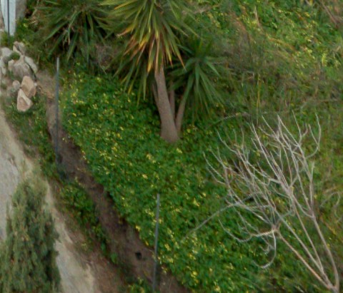 Benalmadena t 2l 06 05