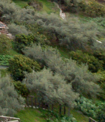 Benalmadena t 2r 05 06