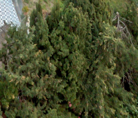 Benalmadena t 2r 06 04