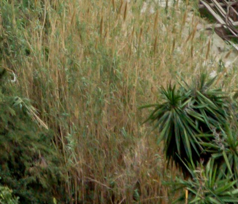 Benalmadena t 2r 06 05