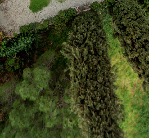 Benalmadena t 3d 03 02