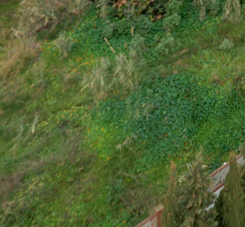 Benalmadena t 3f 03 01